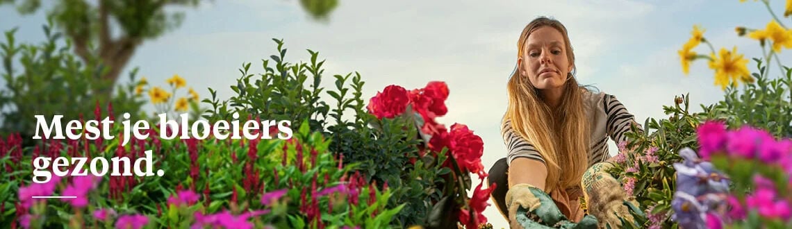 [paste advice page name here]